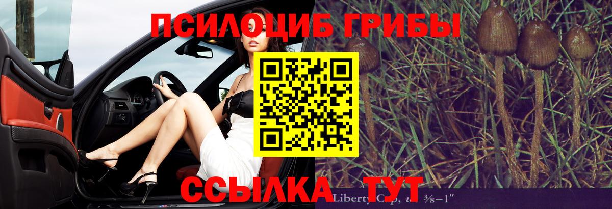 Галлюциногенные грибы Psilocybine cubensis  Псилоцибиновые грибы Magic Shrooms  Вход с VPN  Елизово 